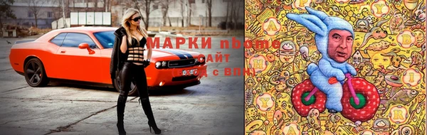 сатива Абаза