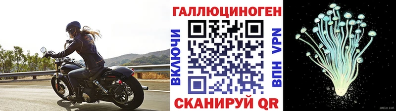 Галлюциногенные грибы прущие грибы  shop наркотические препараты  Лесозаводск 