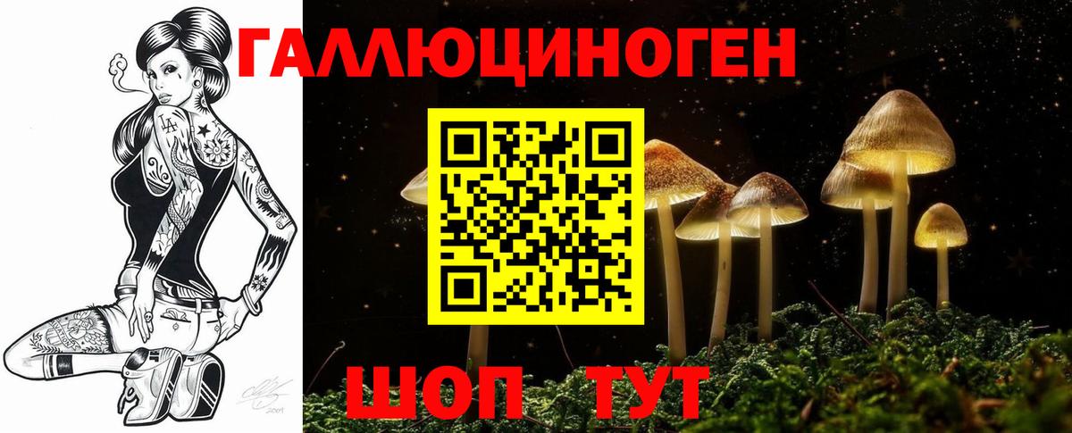 Псилоцибиновые грибы GOLDEN TEACHER  Вход с VPN  Псилоцибиновые грибы Cubensis  Лесозаводск 